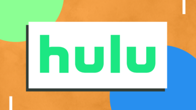 The Rise of Hulu and How You Can Avail of Hulu’s Best Content